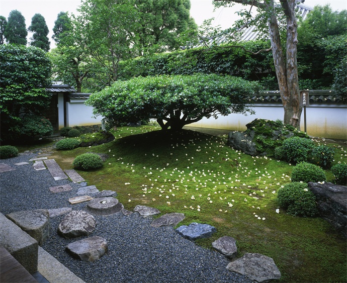 造景元素:花卉植物